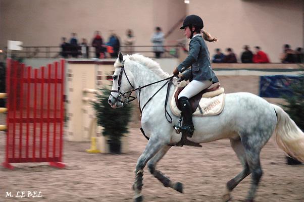 Joyau d'argent (1) -Ozoir 2004