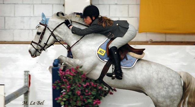 Joyau d'argent (3) -2007