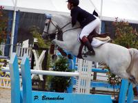 Joyau d'argent (8)