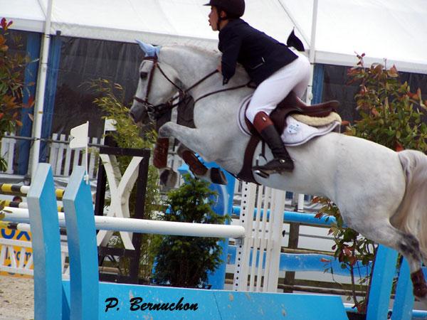 Joyau d'argent (8)