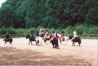 Nostalgie (11)