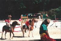 Nostalgie (12)