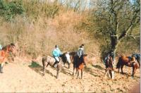 Nostalgie (15) -1996