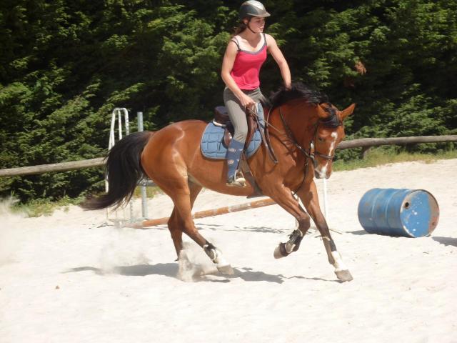 Quadrille (2) -2011