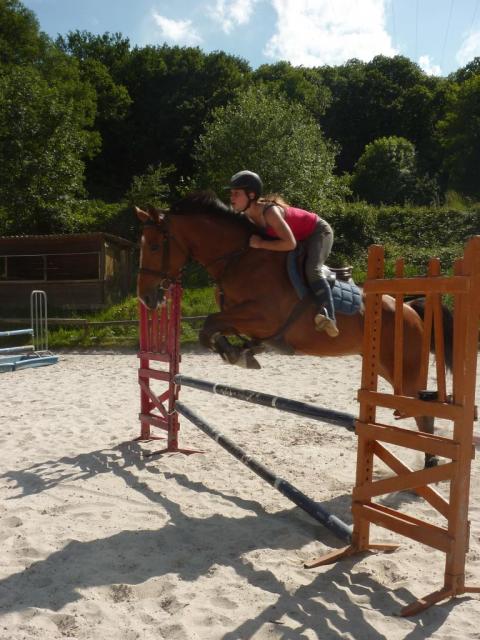 Quadrille (3) -2011