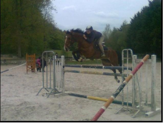 Quadrille (5) -2010