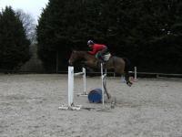 Quintus (2) -2008