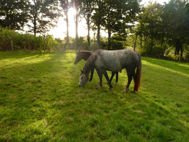 Unylove et Darko (2)