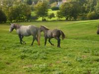 Unylove et Darko