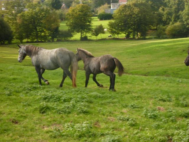 Unylove et Darko